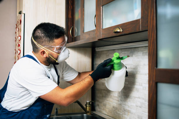 Pest Control for Restaurants in Long Branch, VA