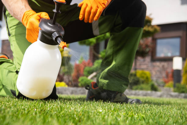 Best Best Pest Control Companies  in Long Branch, VA