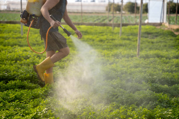 Pest Control Cost in Long Branch, VA