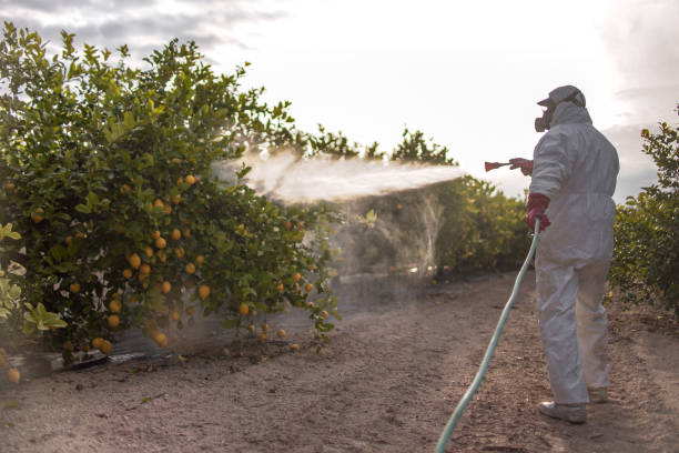 Best Pest Inspection Near Me  in Long Branch, VA