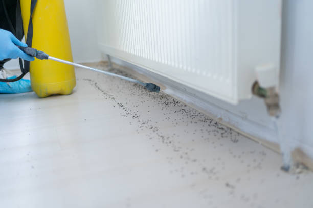 Best Pest Control Cost  in Long Branch, VA