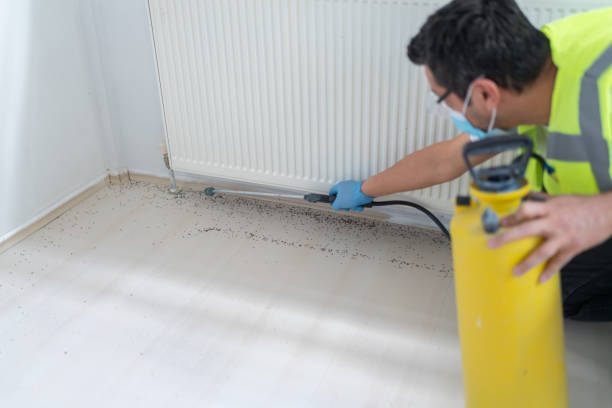 Best Local Pest Control Services  in Long Branch, VA
