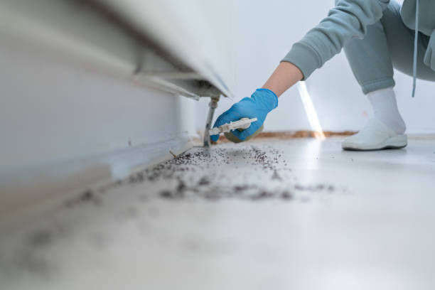 Insect Control in Long Branch, VA